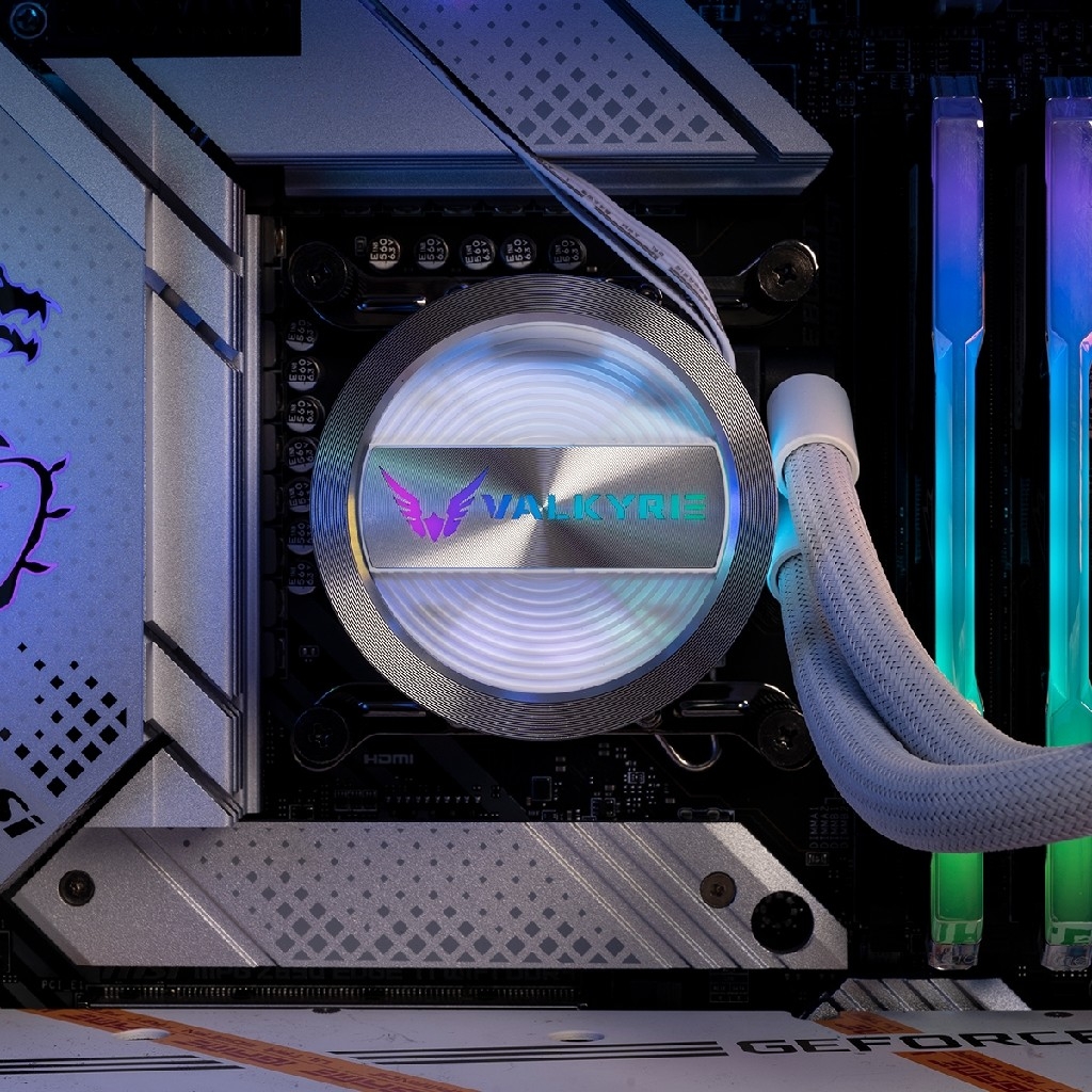 Valkyrie Dragonfang 240 White (LGA20XX/LGA1200/LGA115X/LGA1700/AM4/AM5)