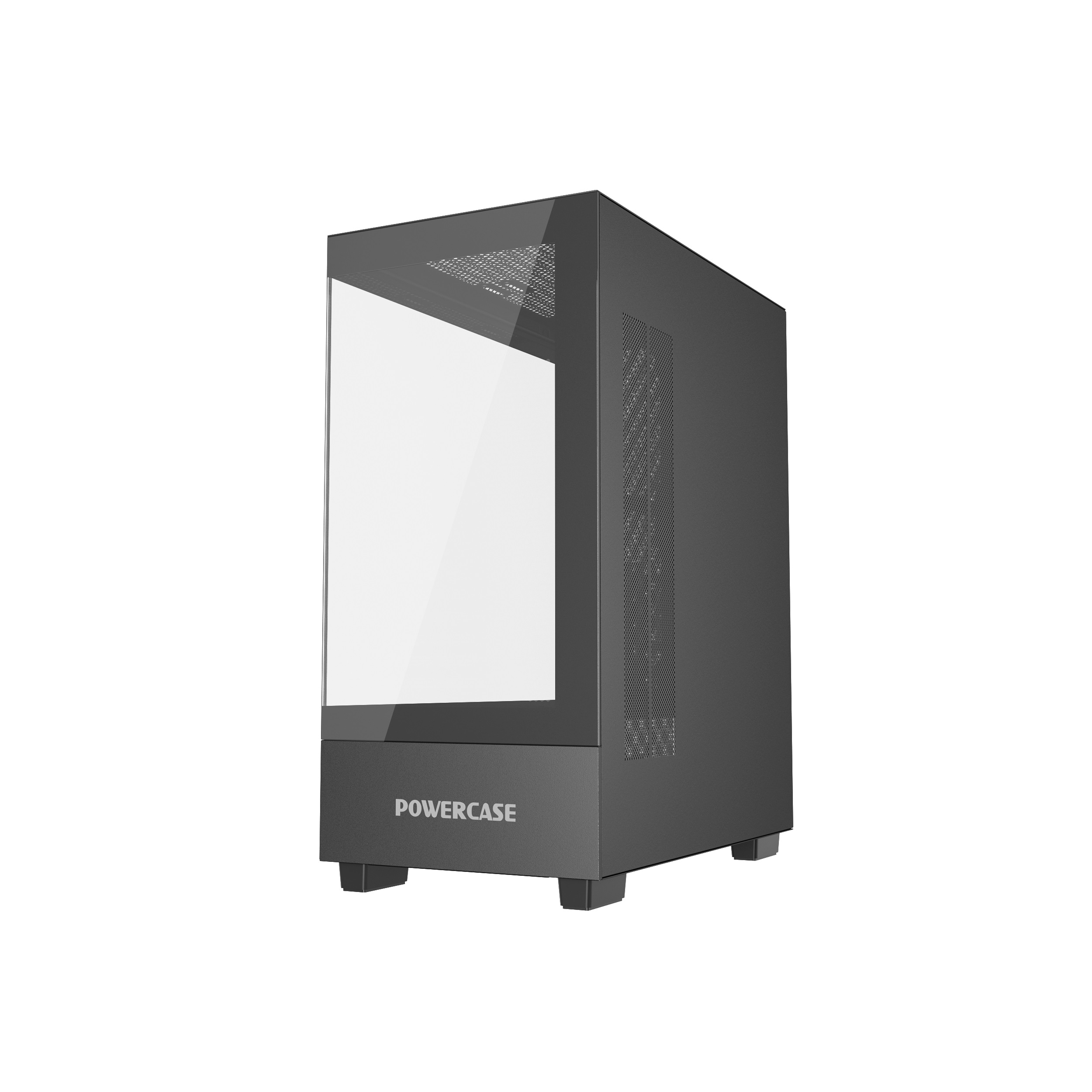 Powercase Vision Micro M Black CVMMB-L0