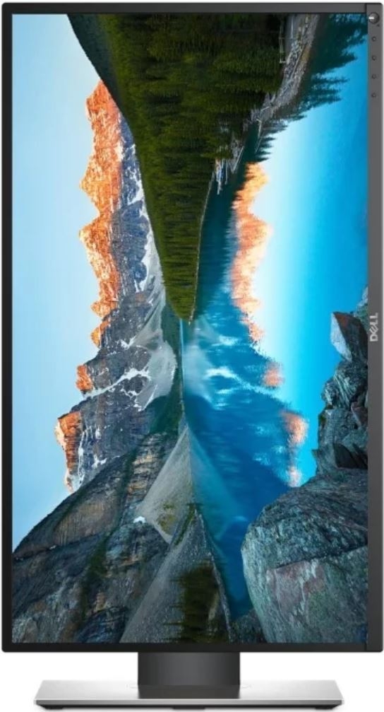 DELL 23.8" IPS LED P2417H
