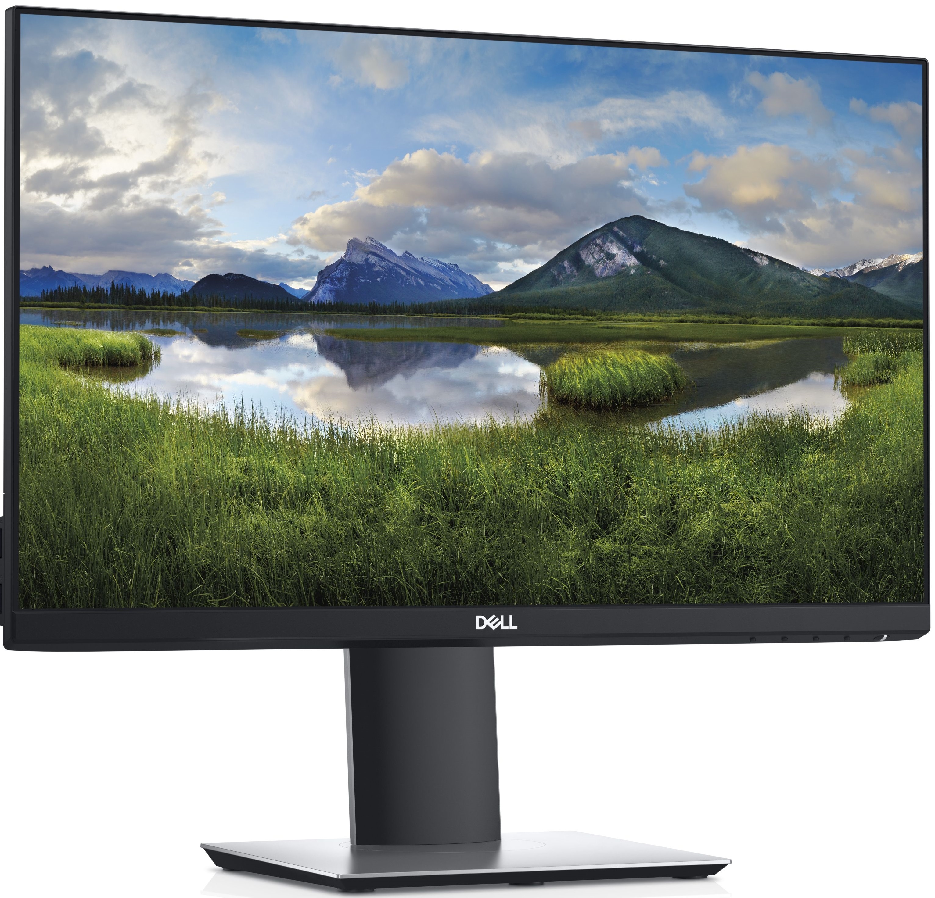 DELL 23.8" IPS LED P2419H