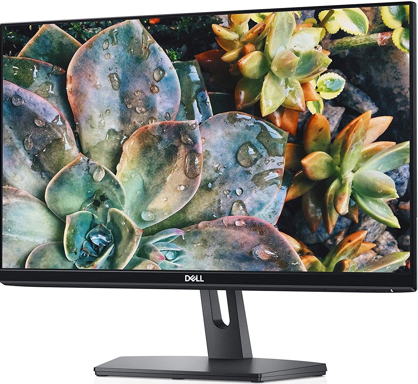 DELL 21.5" IPS LED SE2219H
