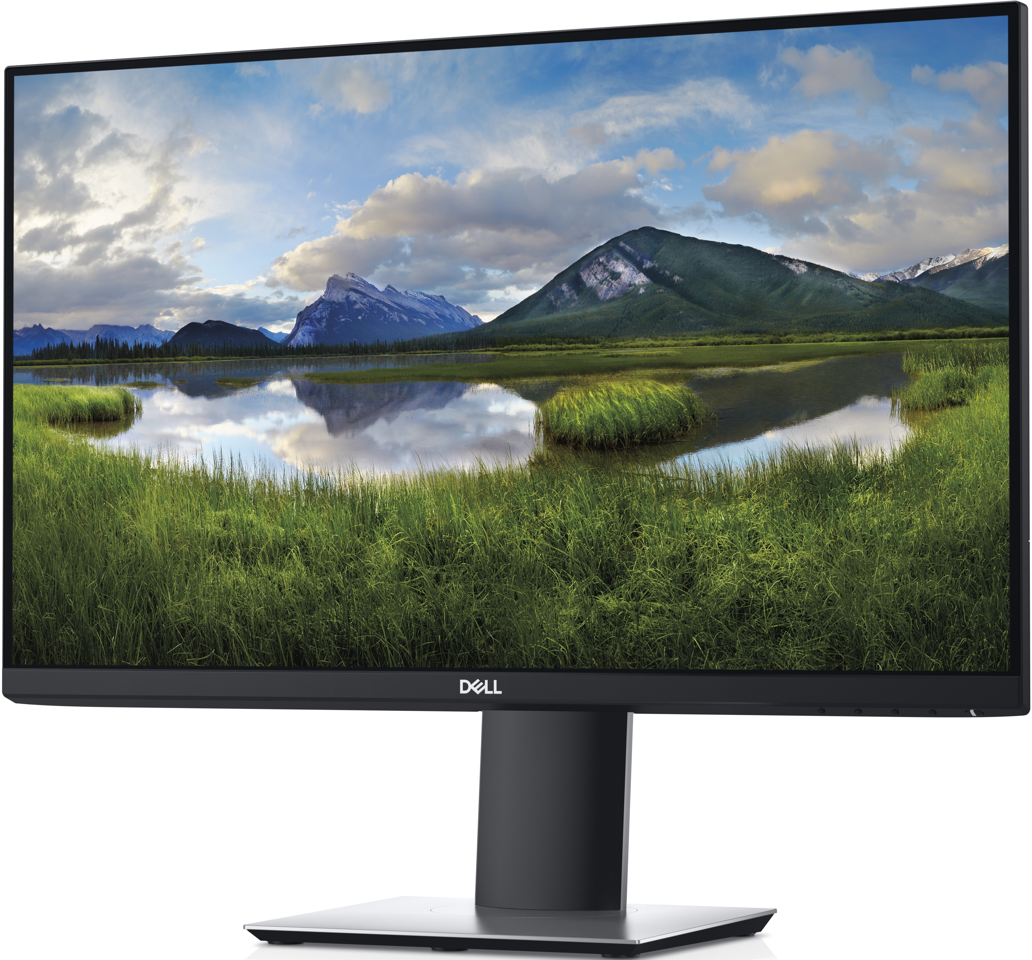 DELL 23.8" IPS LED U2419H