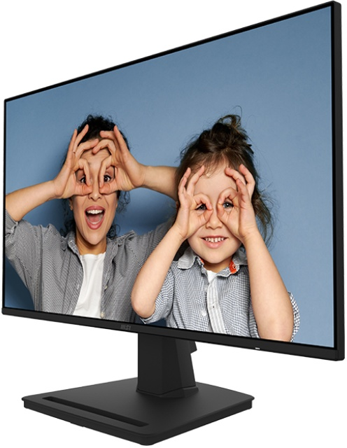 MSI 24.5" Pro MP252