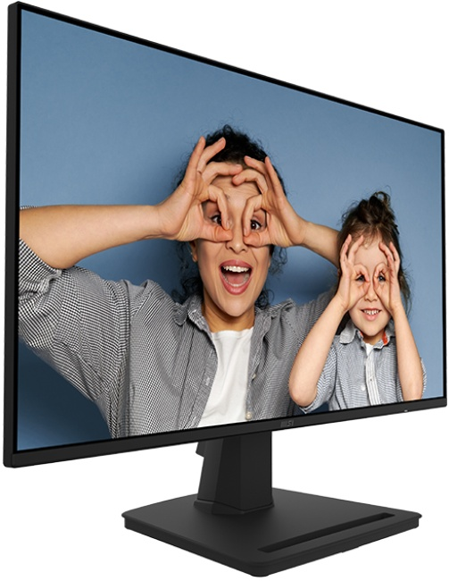 MSI 24.5" Pro MP252