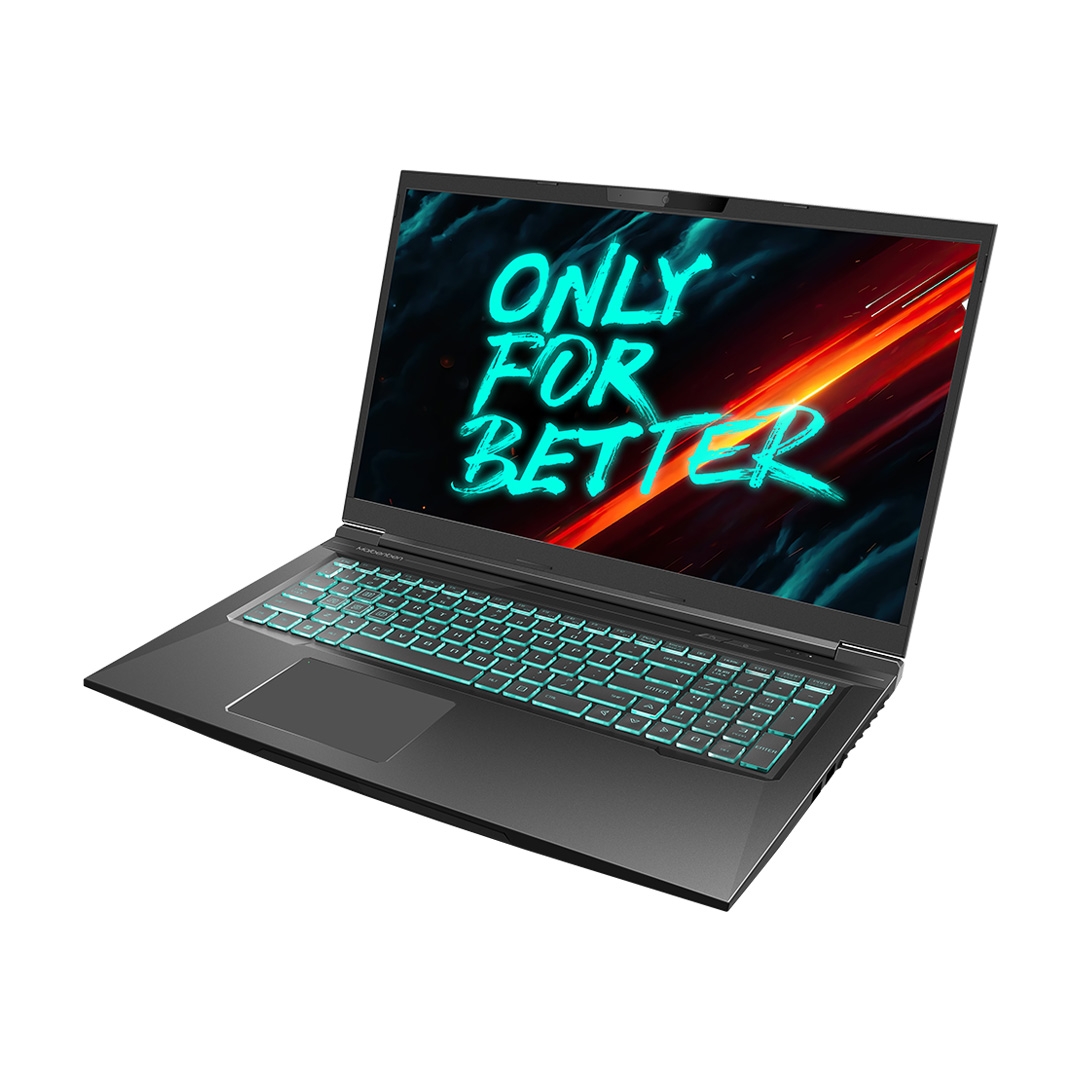 MAIBENBEN X668 (Intel Core i7-12700H 4700MHz/17.3" IPS /2560x1440/16GB/1TB SSD/DVD нет/NVIDIA GeForce RTX 3070/Linux) X668QSGELBRE0 