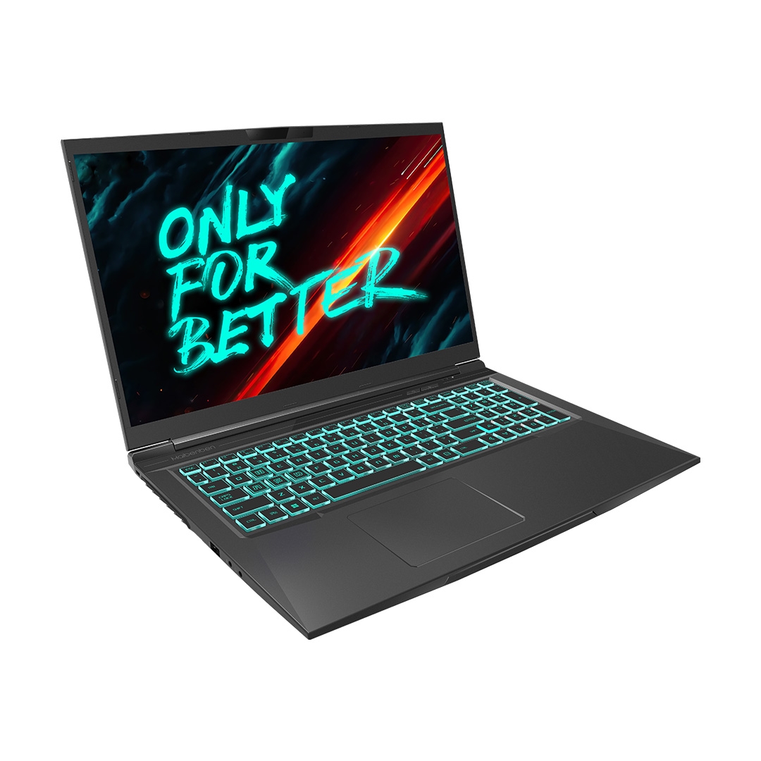 MAIBENBEN X668 (Intel Core i7-12700H 4700MHz/17.3" IPS /2560x1440/16GB/512GB SSD/DVD нет/NVIDIA GeForce RTX 3070/Linux) X668QSFELBRE0