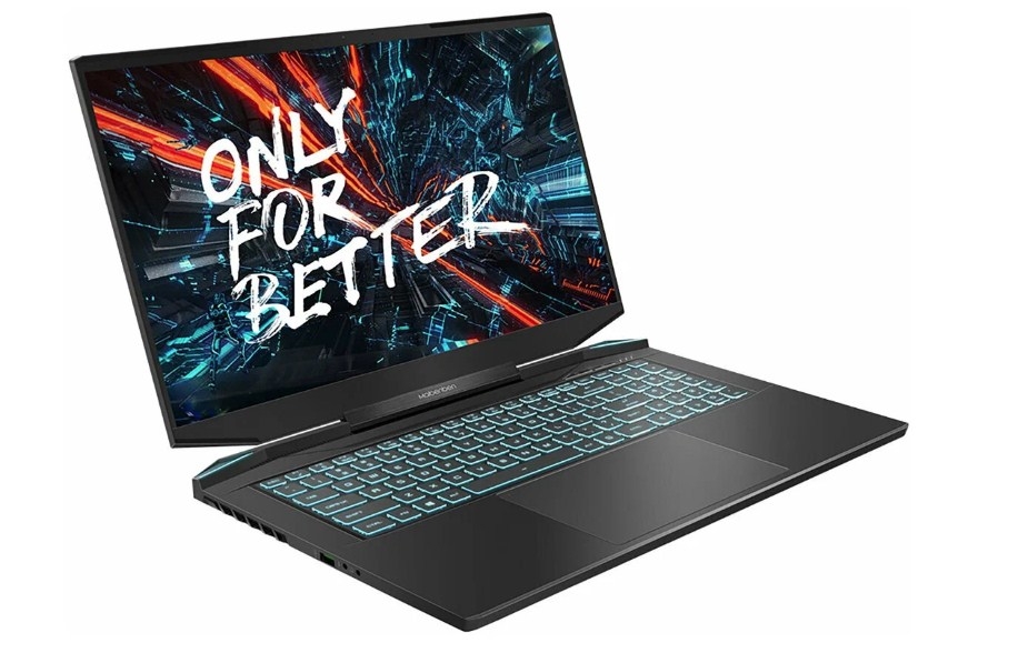 MAIBENBEN X757 (AMD Ryzen 7 5800H 4700MHz/17.3" IPS /2560x1440/16GB/512GB SSD/DVD нет/NVIDIA GeForce RTX 3070/Linux) X757QSFELBRE0