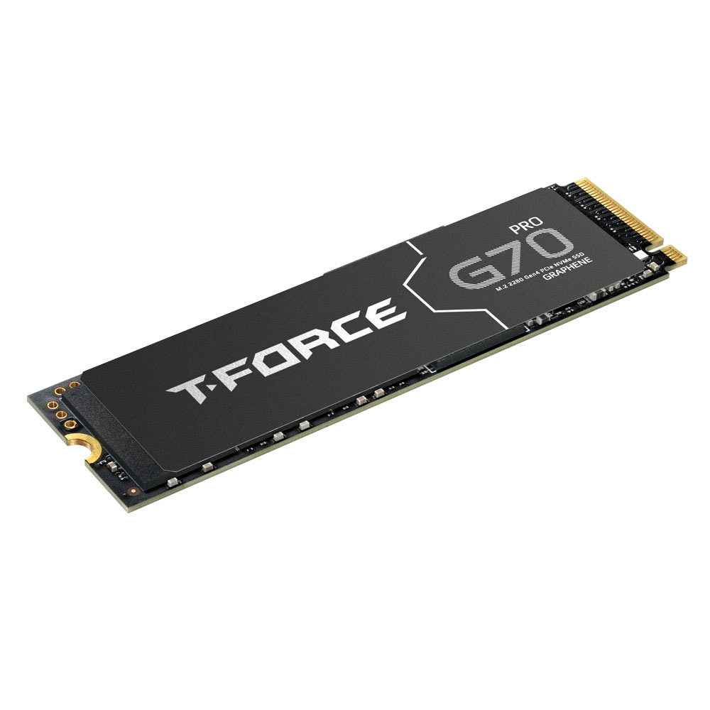 Team Group T-FORCE G70 PRO 1TB PCI-E 4.0 x4 M.2 2280 (с радиатором) TM8FFH001T0C129