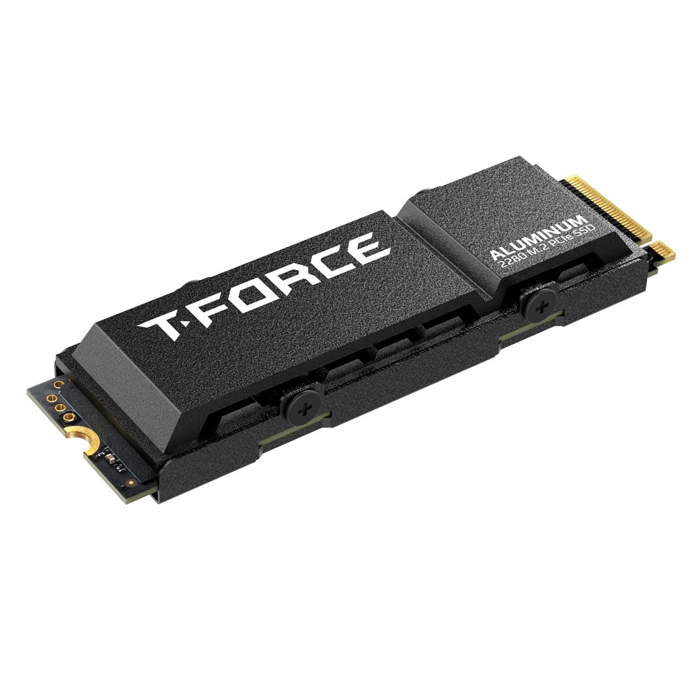 Team Group T-FORCE G70 PRO 1TB PCI-E 4.0 x4 M.2 2280 (с радиатором) TM8FFH001T0C129