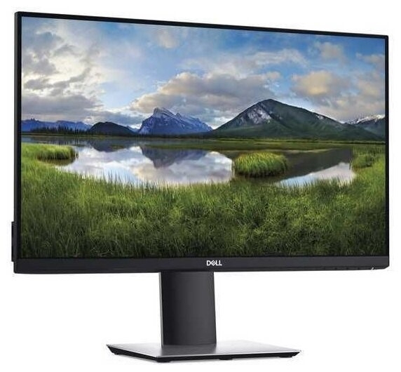 DELL 24" TFT IPS P2421D