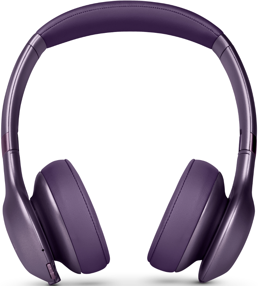 JBL H Everest 310 GA.