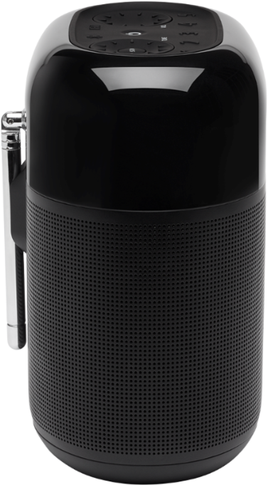 JBL Портативная акустика Tuner XL