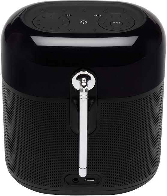 JBL Портативная акустика Tuner XL