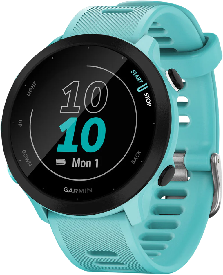 Garmin Умные часы Forerunner 55