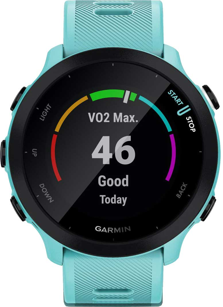 Garmin Умные часы Forerunner 55