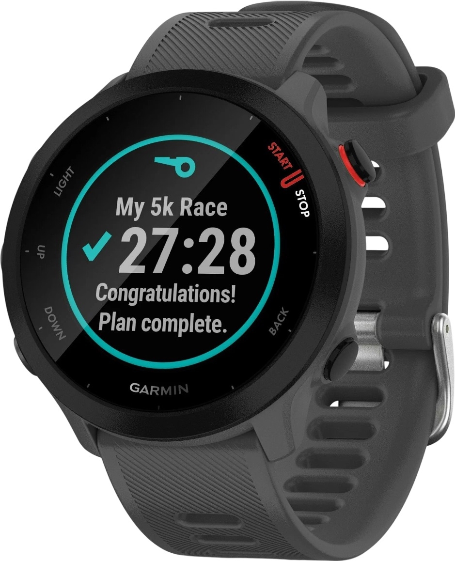 Garmin Умные часы Forerunner 55