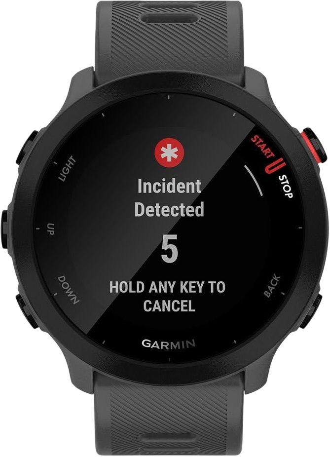 Garmin Умные часы Forerunner 55