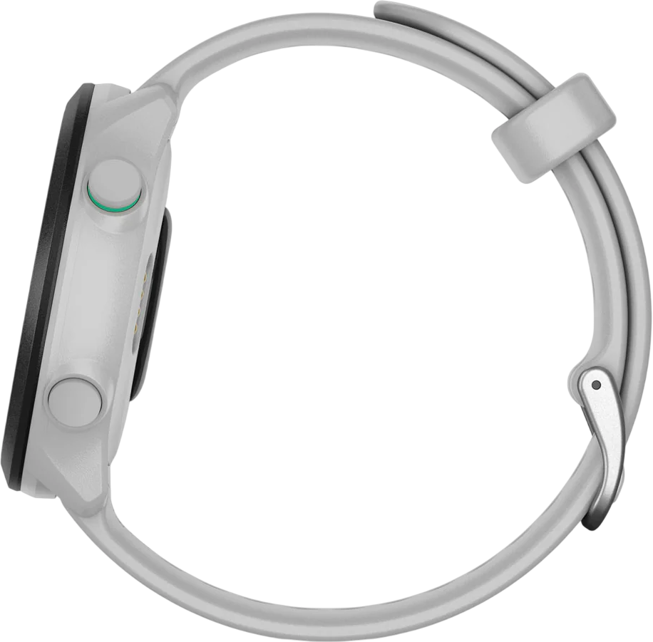 Garmin Умные часы Forerunner 55