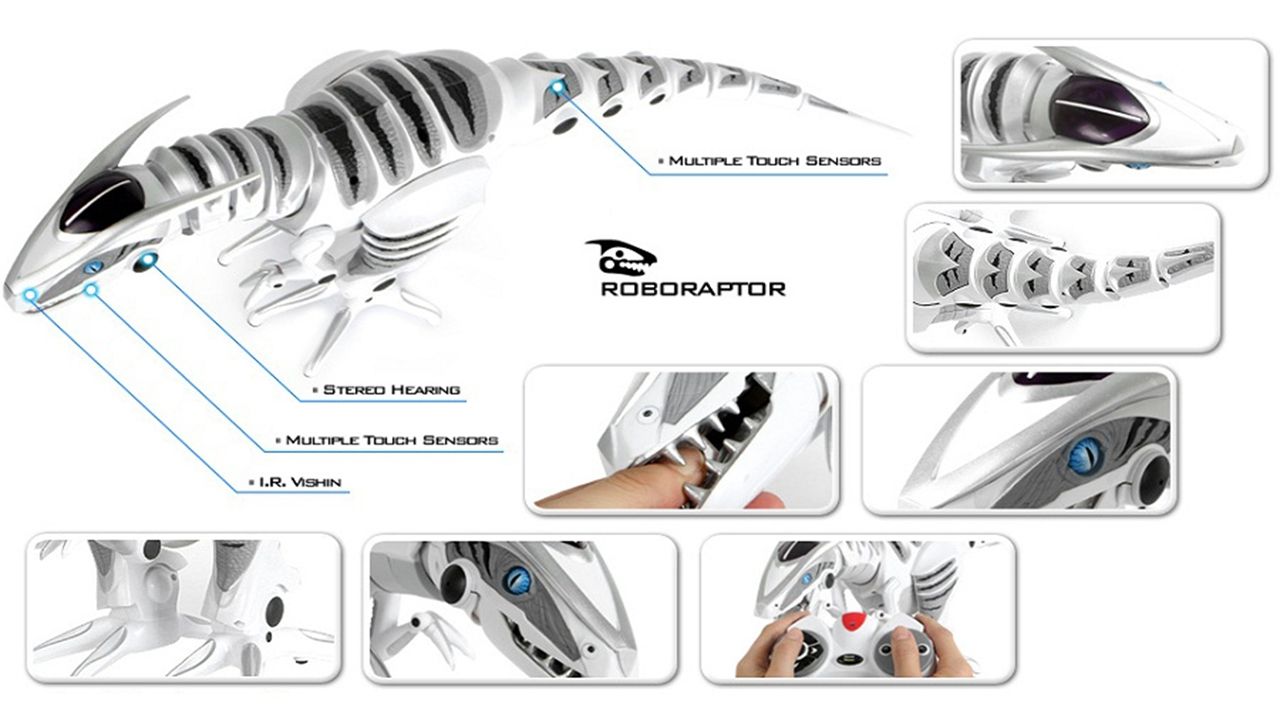 roboraptor colors