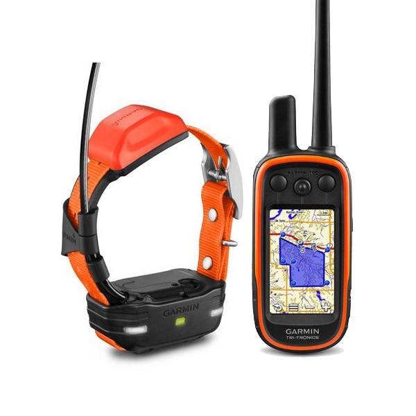Alpha 100 с ошейником T5 (EU) (orange) фото