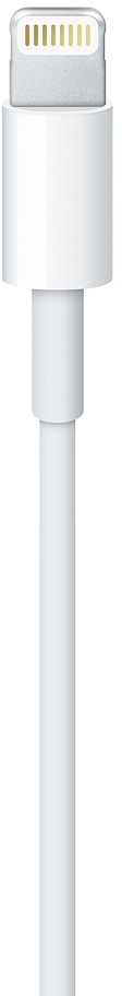 Apple Кабель USB (M)- Lightning (M), 0.5 м, (ME291ZM/A)