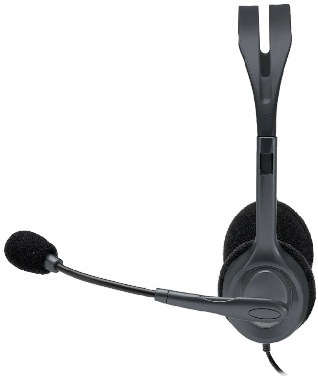 Logitech H111 1X4P