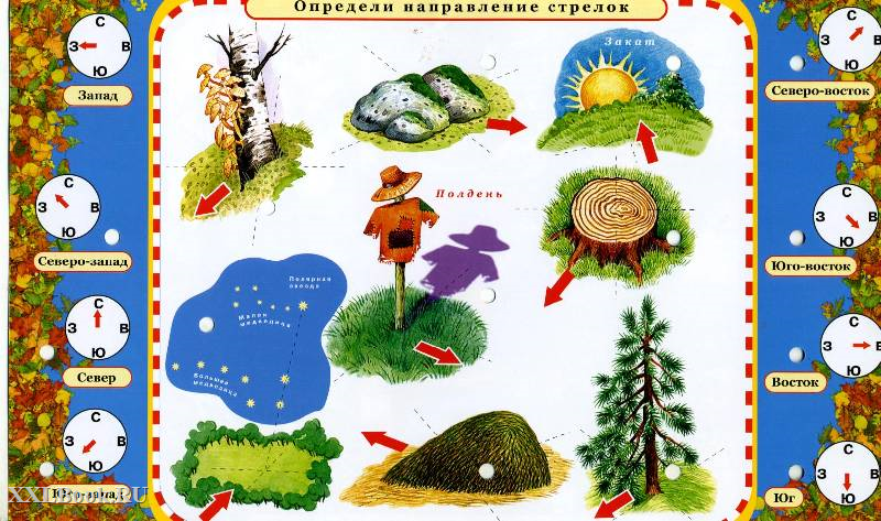 Наглядные пособия для дошкольников. Окружающий мир карточки для дошкольников. Окружающий мир для дошкольников. Карточки с заданиями по природоведению в начальной.