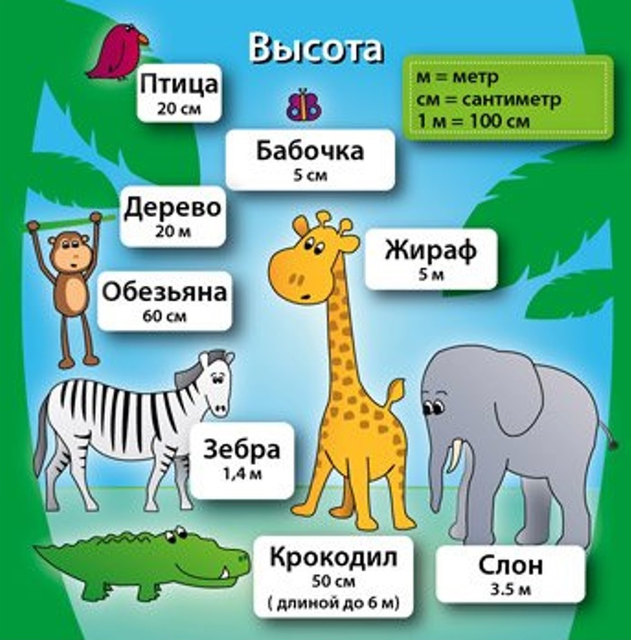 ИнтерХит Настольная игра "Сундучок знаний. Мир математики" (BrainBox)