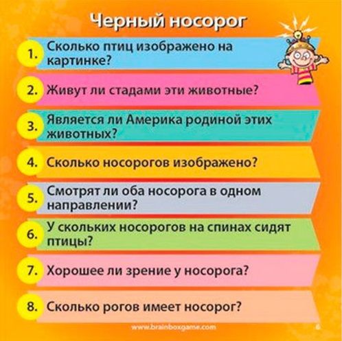 ИнтерХит Настольная игра "Сундучок знаний. В мире животных" (BrainBox)
