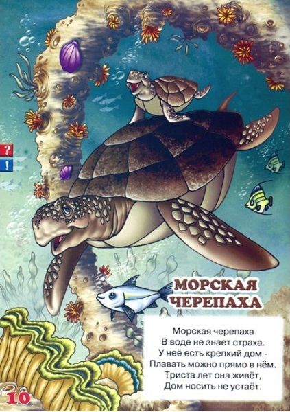 Знаток Книга для ручки "Кто-кто в синем море живет?" 