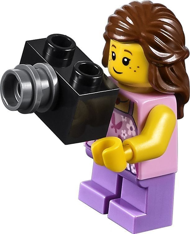 Lego Конструктор Creator "Вечеринка у бассейна", 356 деталей