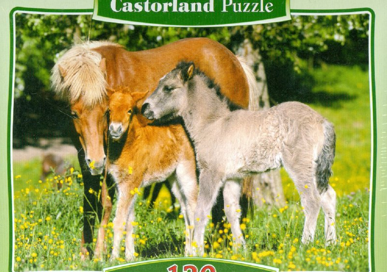 Castorland Пазл-midi "Лошади"