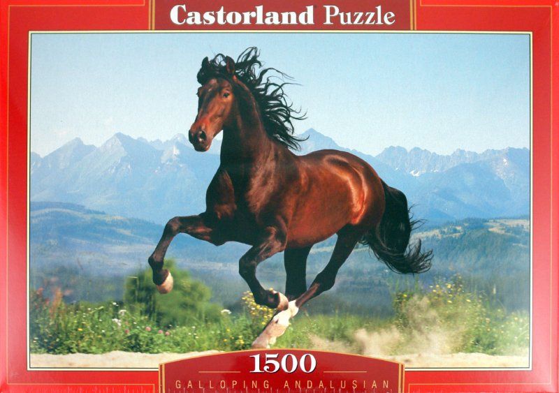 Castorland Пазл "Лошадь"