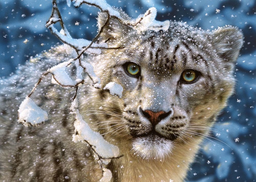 Castorland Пазл "Снежный леопард"