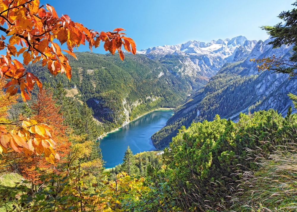 Castorland Пазл "Озеро в Альпах"