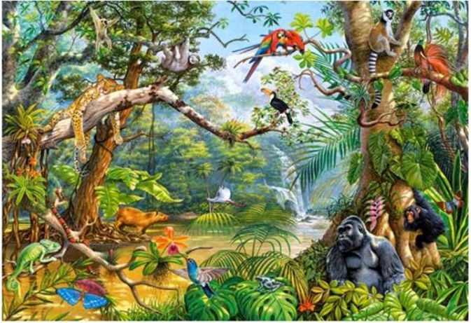 Castorland Пазл "Жизнь в джунглях"