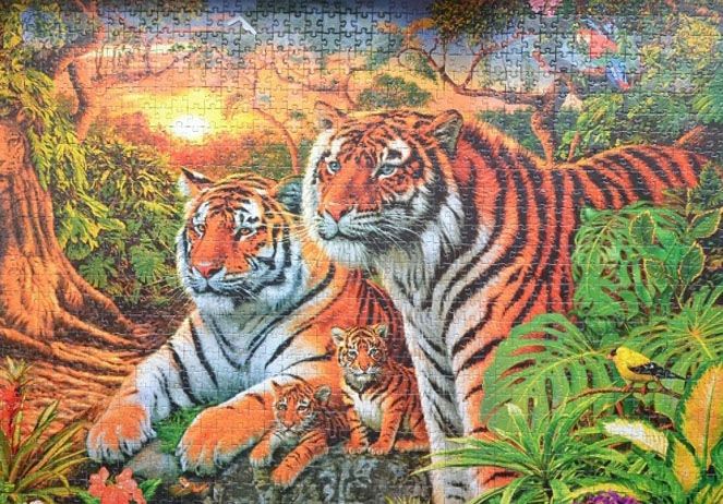Step Puzzle Пазл "Сколько тигров?" 