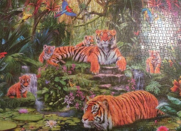 Step Puzzle Пазл "В джунглях. Тигры"