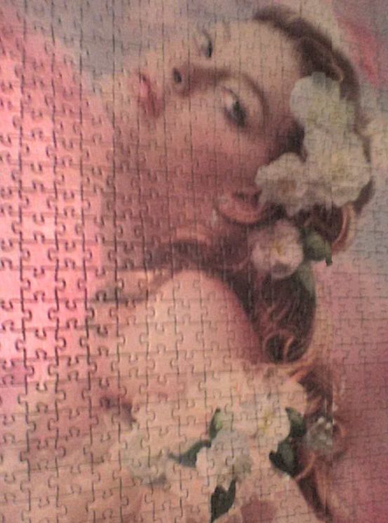 Step Puzzle Пазл "Дама с камелиями", Авторская коллекция