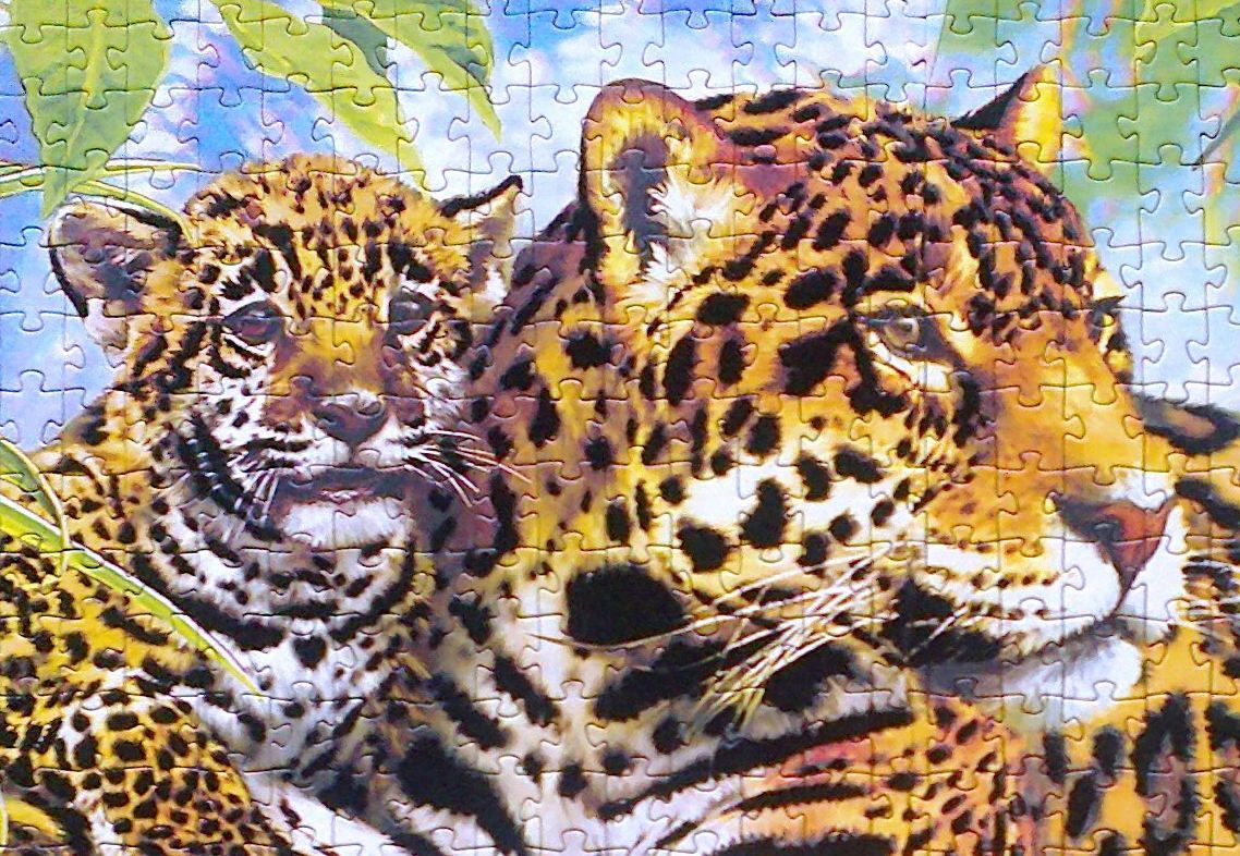 Step Puzzle Пазл "Леопарды", Бархатная коллекция