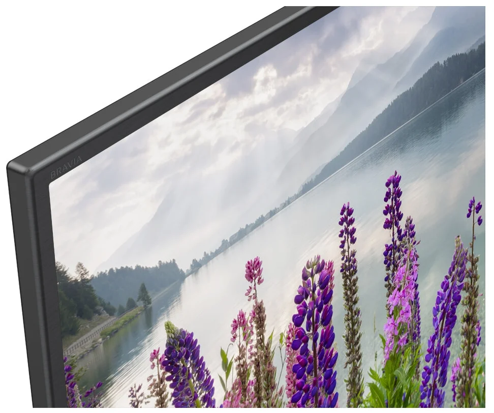 Sony KDL-49WF804BR