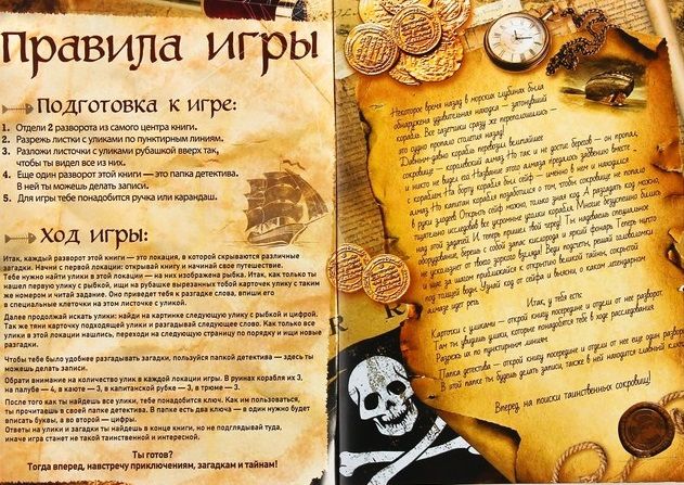 ЛасИграс Книга-игра "Поисковый квест. Загадка затонувшего корабля"