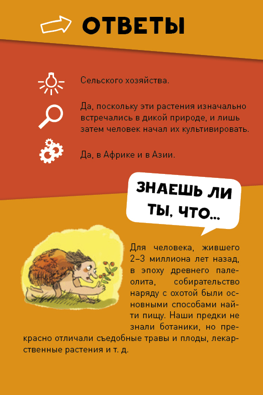 Clever Настольная игра "Викторина чемпионов. Первобытный человек. Время"