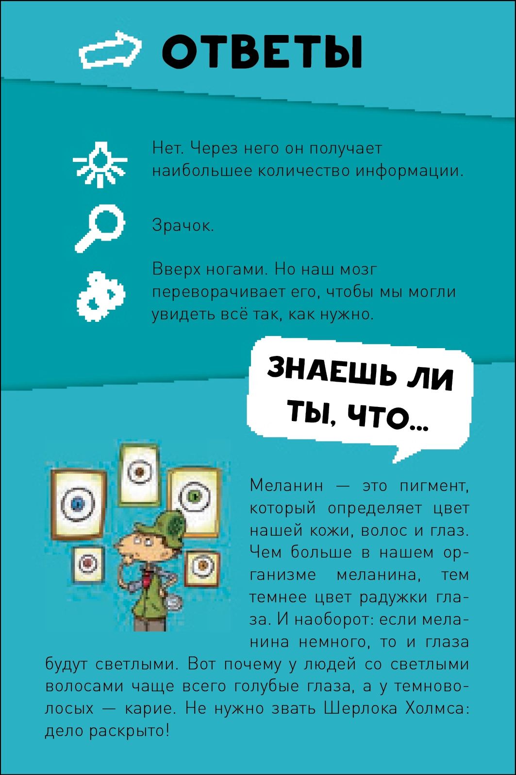 Clever Настольная игра "Викторина чемпионов. Человеческое тело"