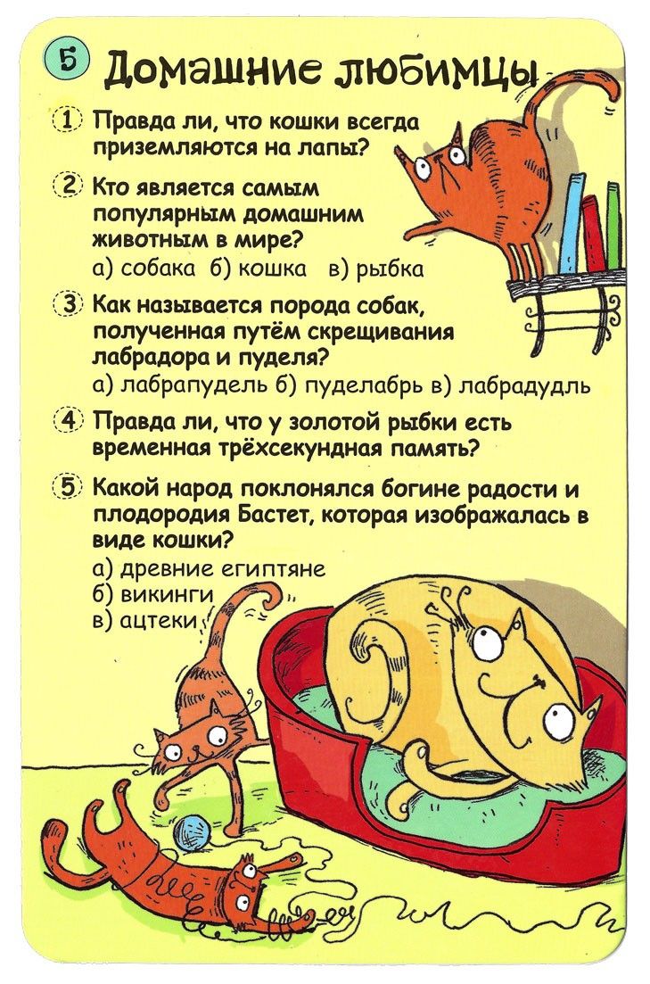 Робинс Настольная игра "Карточки. Вопросы и ответы о животных"