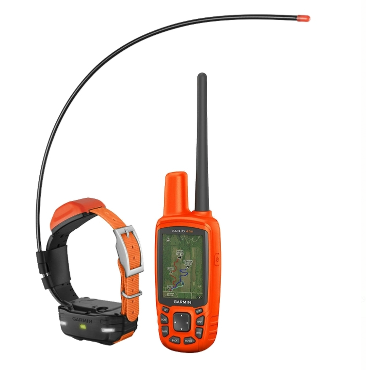 

Astro 430 с ошейником T5 mini