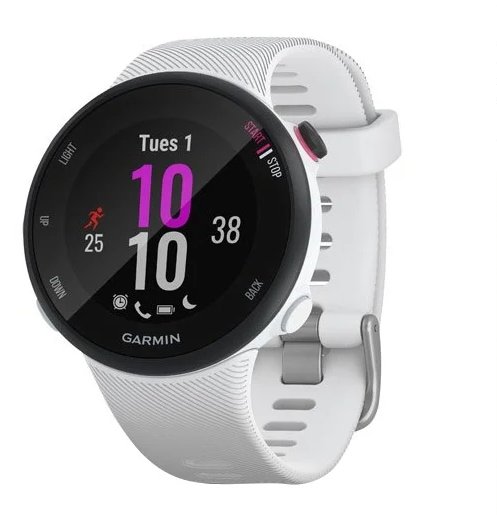 Garmin Умные часы Forerunner 45s