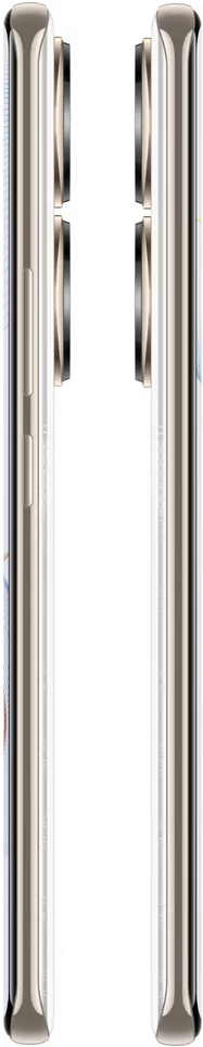 Honor 90 12/256GB