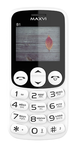 Maxvi B1