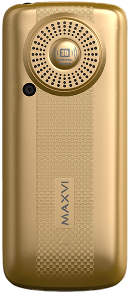 Maxvi P10